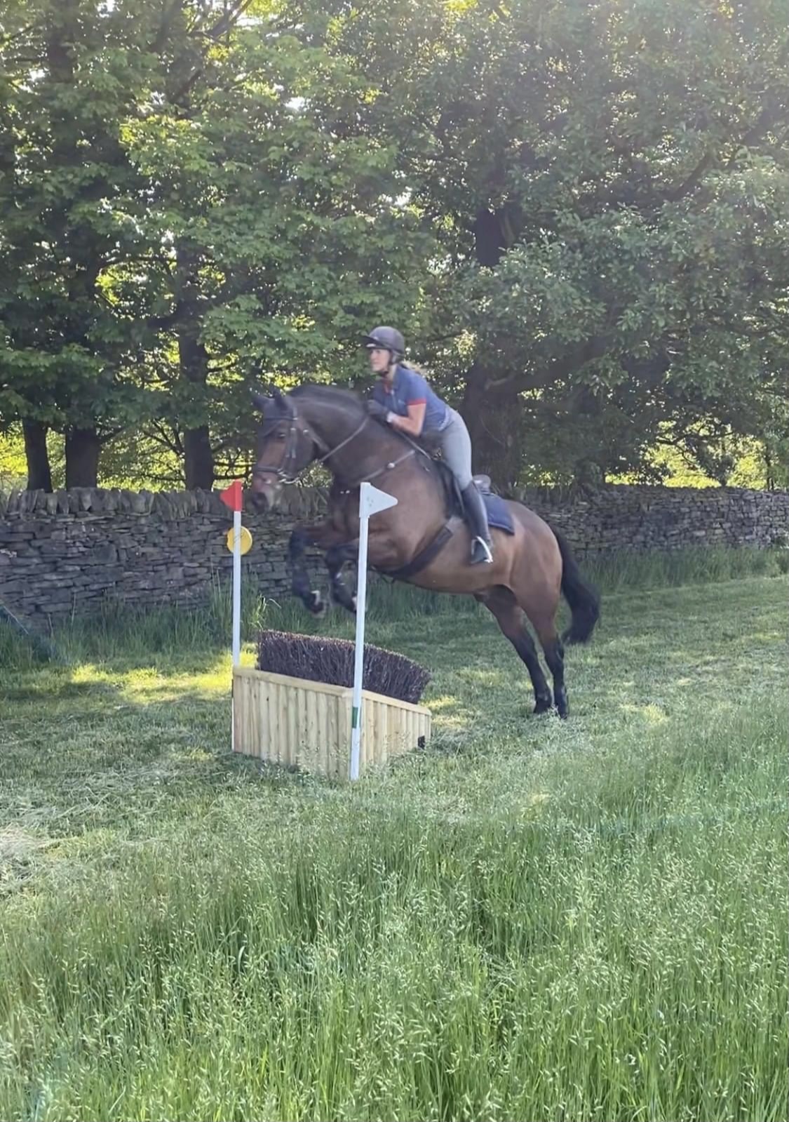 Gallery Farnley Ride